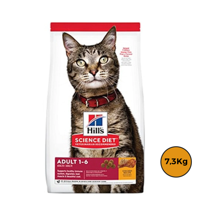 Hills Gato 7,3 Kg + Regalo