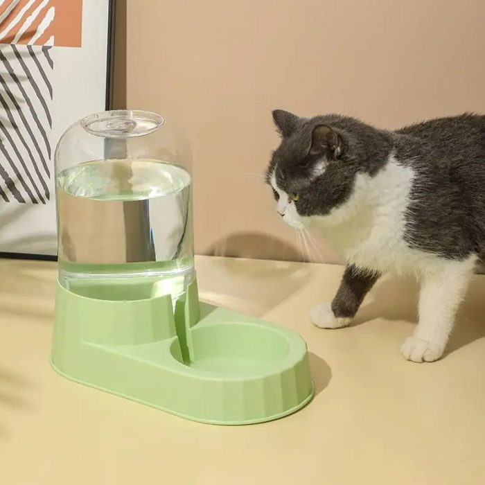 Plato bebedero dispensador