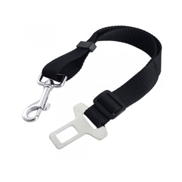 Correa Para cinto de seguridad