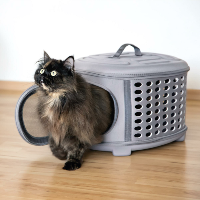 Transportadora cilindro